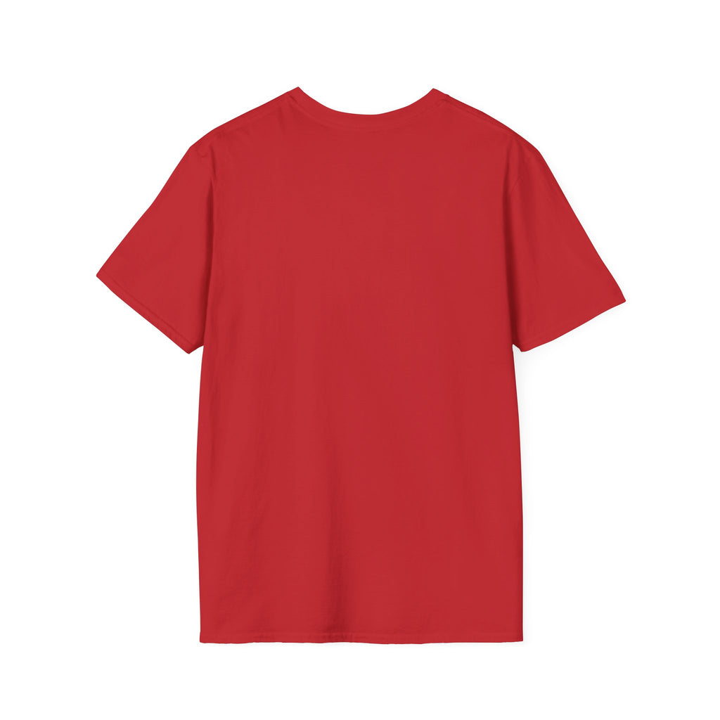 I Collect History-Typo-T-Shirt